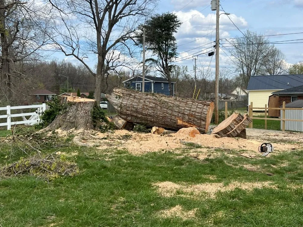 Custom yard maintenance in Shelbyville, KY by J&R Tree Services