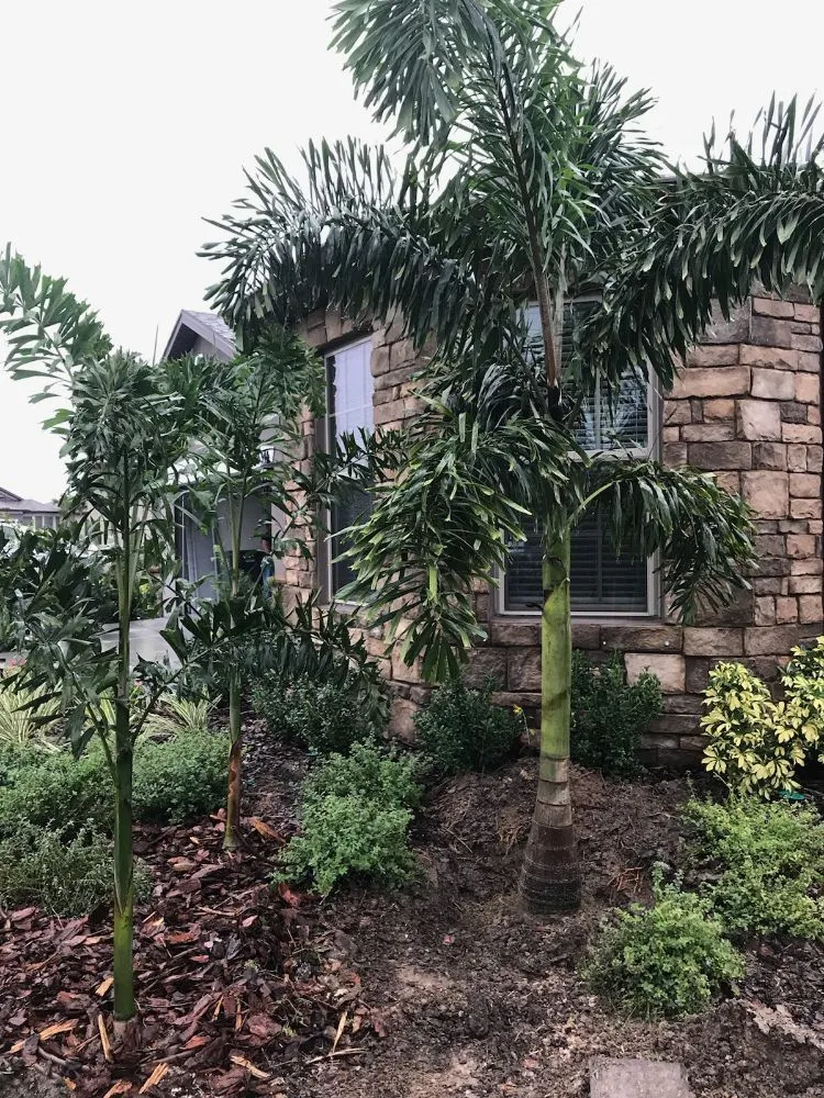 Professional landscape installation in Wimauma, FL by J&R Trees And Landscaping