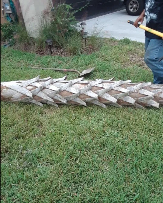 Trusted residential landscaping with custom design across Wimauma, FL - J&R Trees And Landscaping