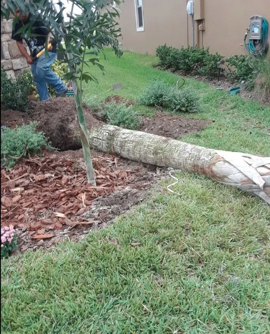 Trusted landscape design for homes across Wimauma, FL - J&R Trees And Landscaping