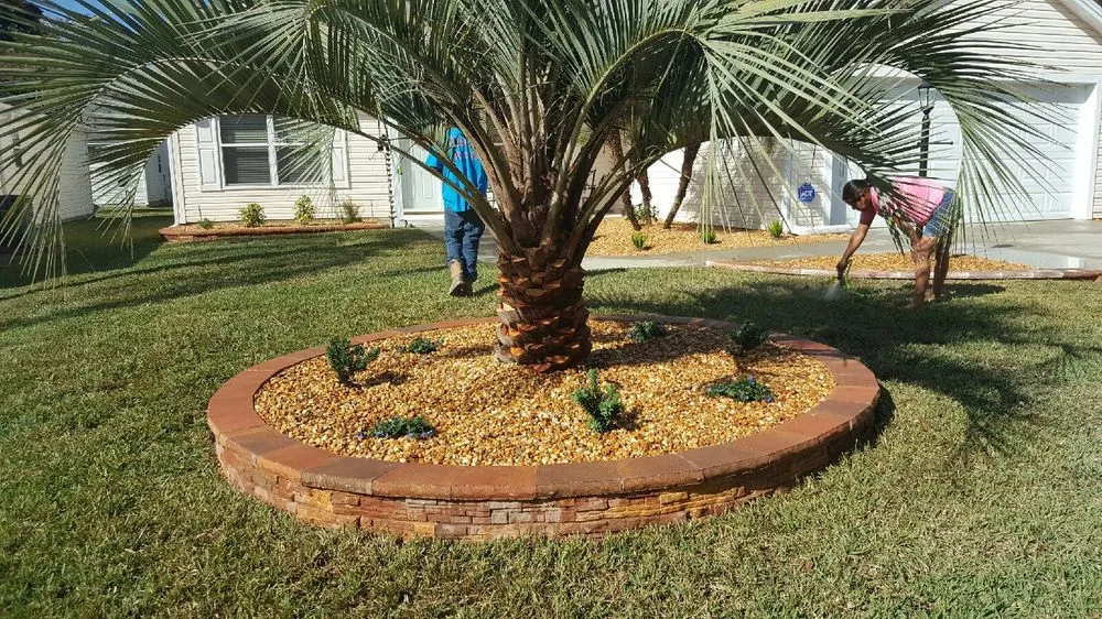 Top-rated yard cleanup service in The Villages, FL - Jr Vidal Palm & Tree Services