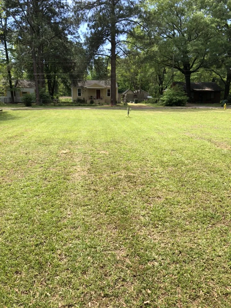 Expert residential landscaping in Montgomery, AL - JR Yards