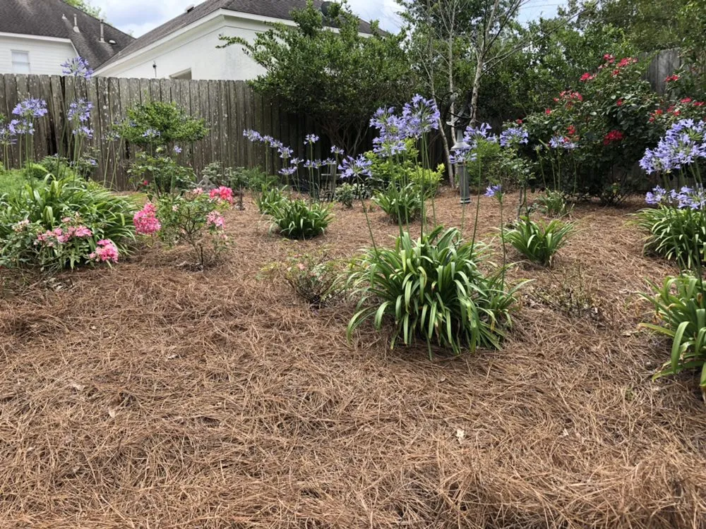 Reliable landscaping services in Montgomery, AL by JR Yards