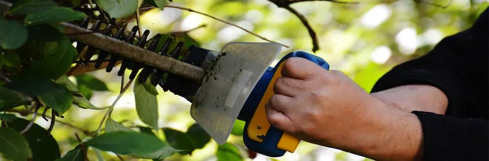 Professional yard maintenance in Santa Cruz, CA by JR2020EJ