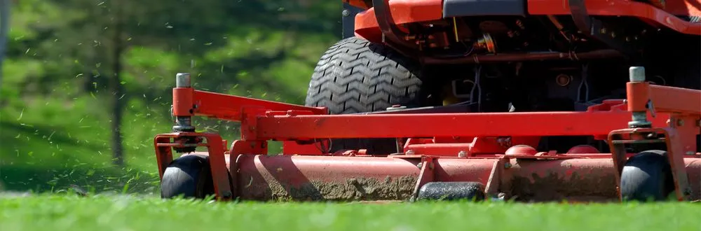 Local lawn care service in Santa Cruz, CA by JR2020EJ