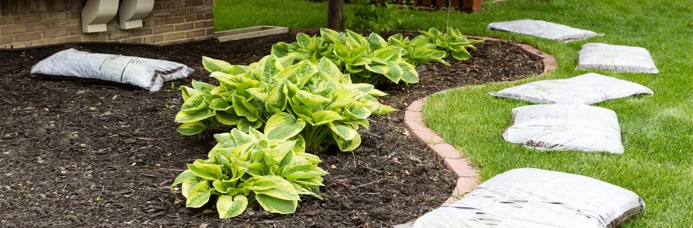 Trusted outdoor landscaping for beautiful yards across Santa Cruz, CA - JR2020EJ