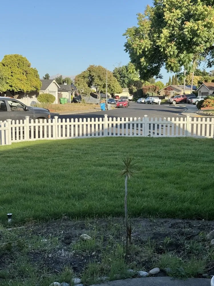 Affordable garden landscaping for year-round maintenance in Newark, CA by JRA gardening & Landscaping