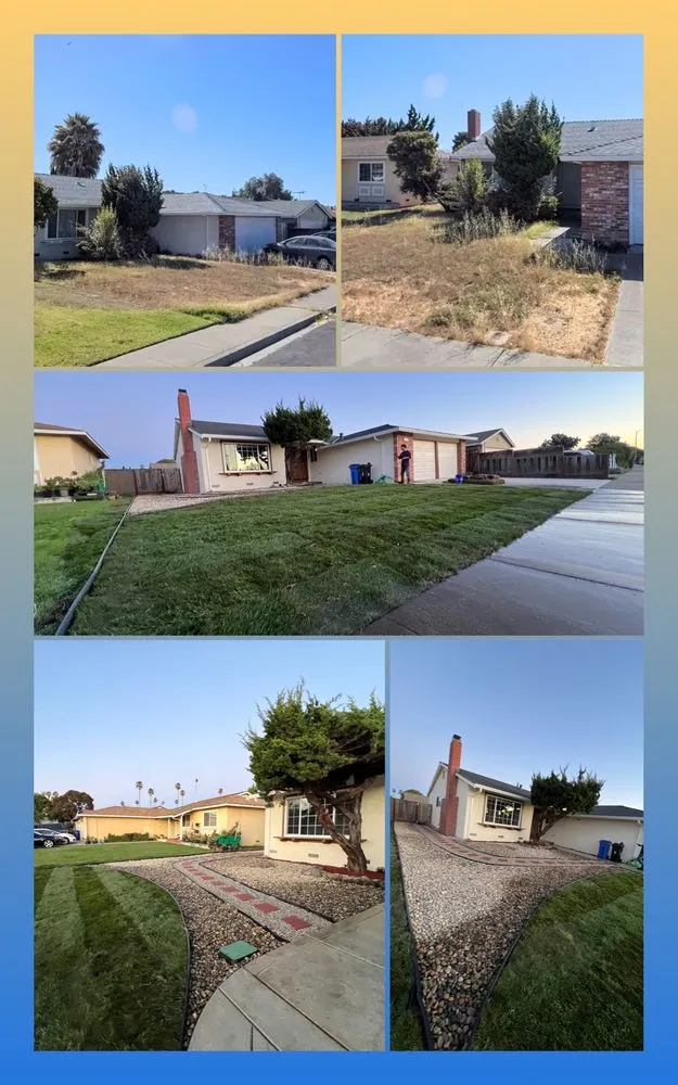 Expert lawn mowing service in Newark, CA - JRA gardening & Landscaping