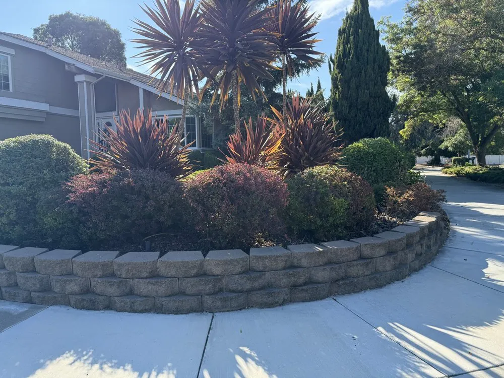 Trusted landscape design with custom design across Newark, CA - JRA gardening & Landscaping