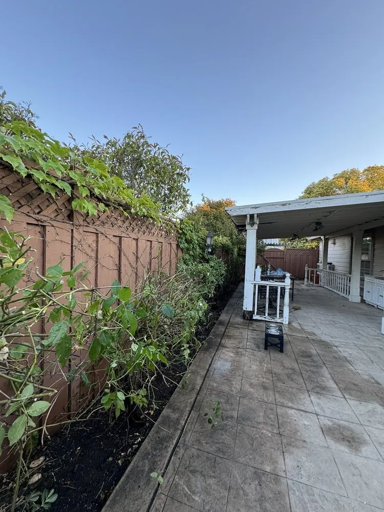 Professional outdoor landscaping in Newark, CA - JRA gardening & Landscaping