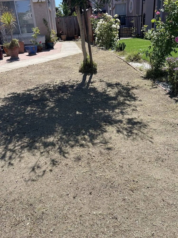 Custom lawn care service in Newark, CA - JRA gardening & Landscaping