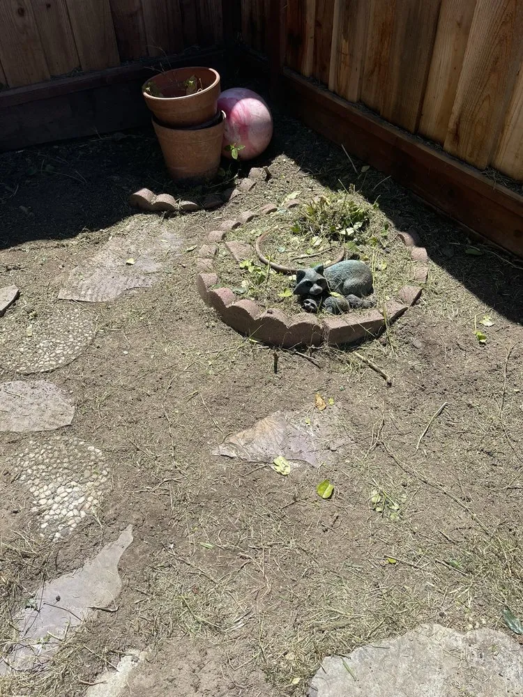 Professional garden landscaping experts serving Newark, CA - JRA gardening & Landscaping