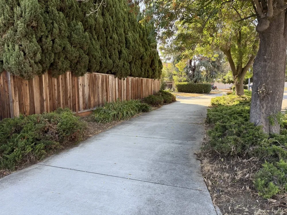 Reliable landscaping services in Newark, CA by JRA gardening & Landscaping