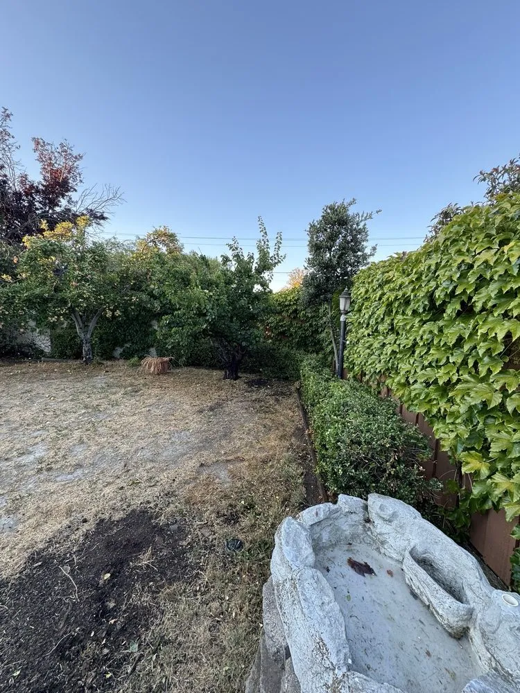 Custom garden landscaping experts serving Newark, CA - JRA gardening & Landscaping