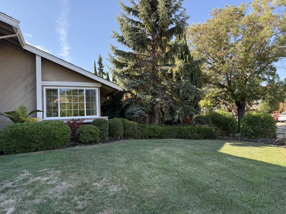 Top-rated landscaping services in Newark, CA by JRA gardening & Landscaping