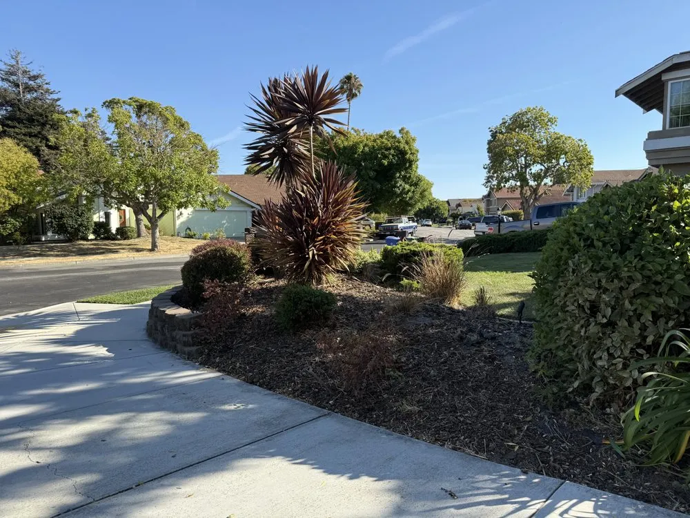 Custom landscaping services in Newark, CA - JRA gardening & Landscaping
