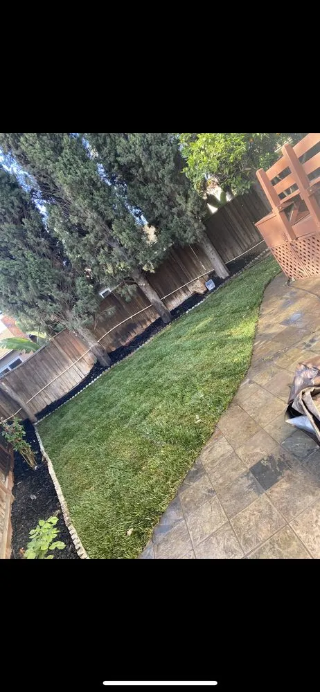 Top-rated lawn care service for residential properties in Pittsburg, CA by JRA Landscaping & Powerwashing