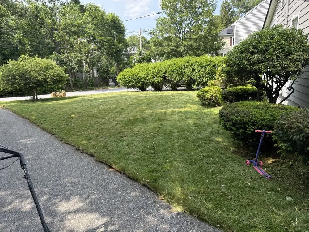 Expert lawn care service for year-round maintenance across Cambridge, MA - JRA Landscaping