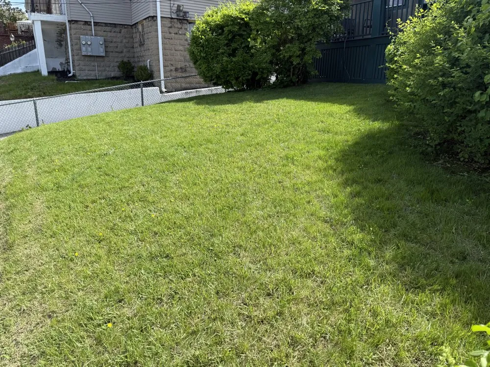 Professional landscape design near you in Cambridge, MA by JRA Landscaping