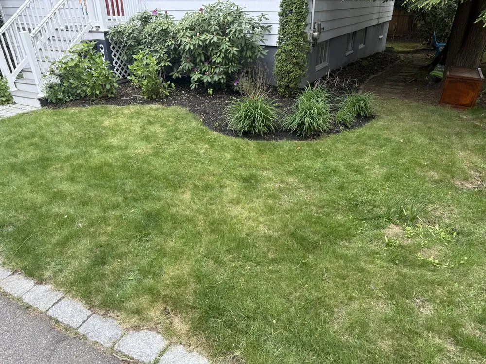 Expert landscape installation in Cambridge, MA by JRA Landscaping