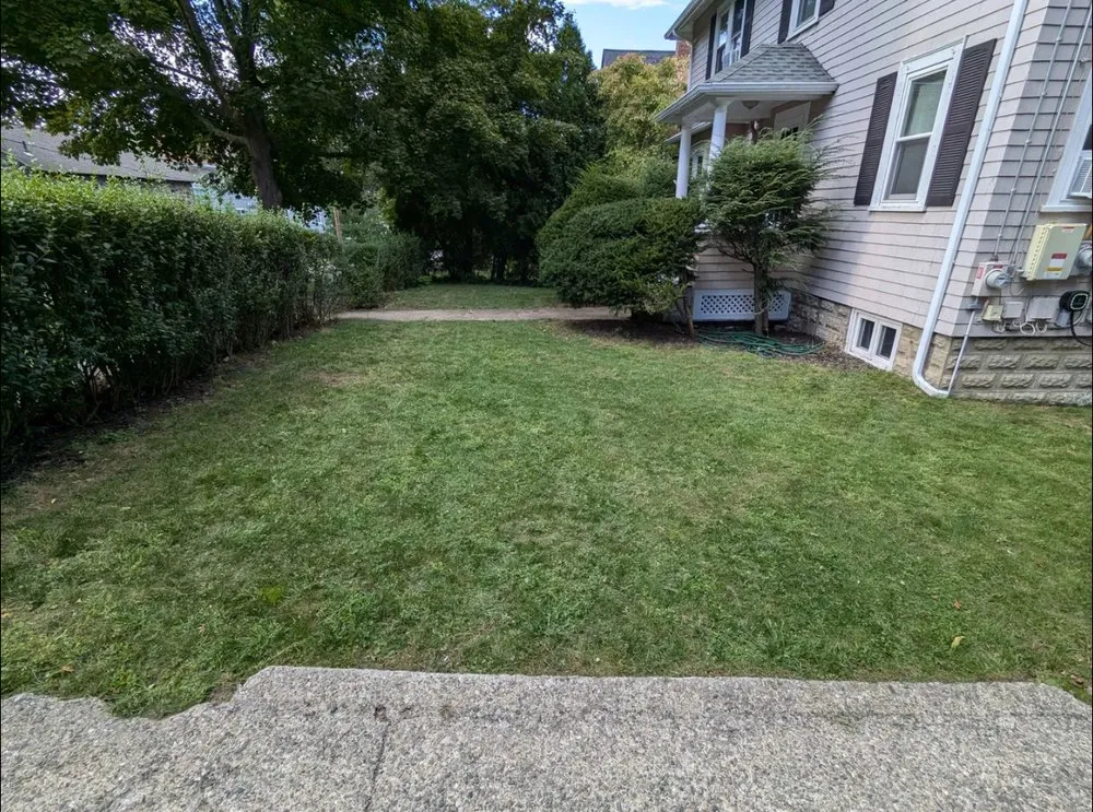 Reliable landscape design in Cambridge, MA - JRA Landscaping