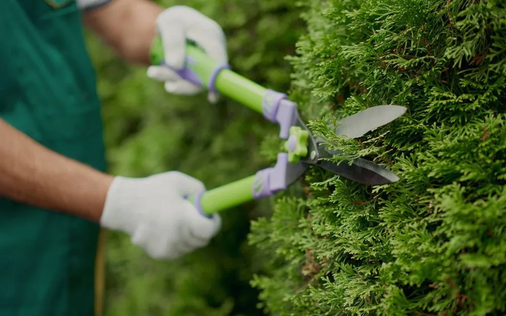 Reliable outdoor landscaping with custom design across Princeton, TX - JRB Lawn Maintenance