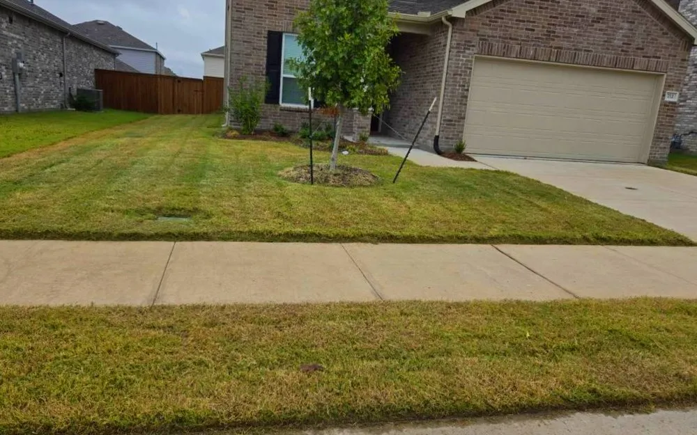 Professional lawn mowing service with custom design in Princeton, TX by JRB Lawn Maintenance