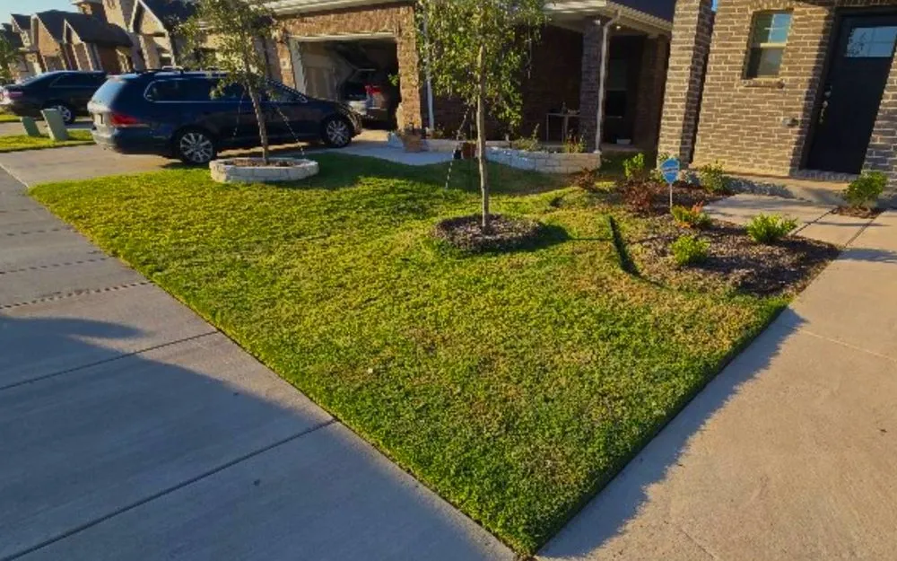 Affordable lawn care service experts serving Princeton, TX - JRB Lawn Maintenance