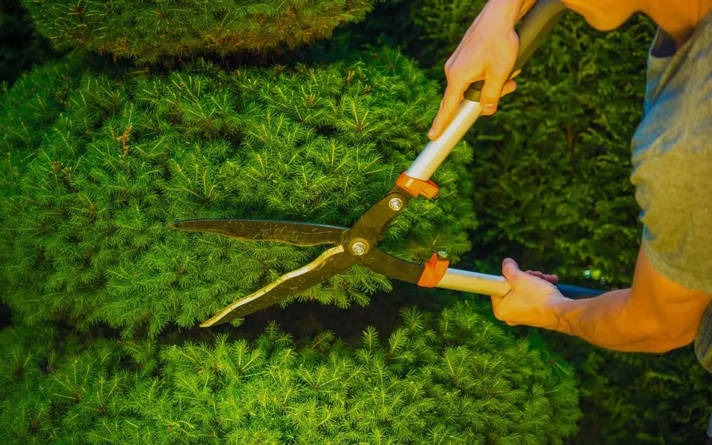 Expert lawn care service experts serving Princeton, TX - JRB Lawn Maintenance