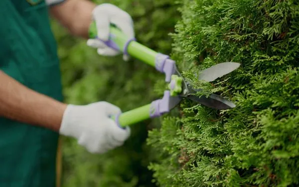 JRB Lawn Maintenance