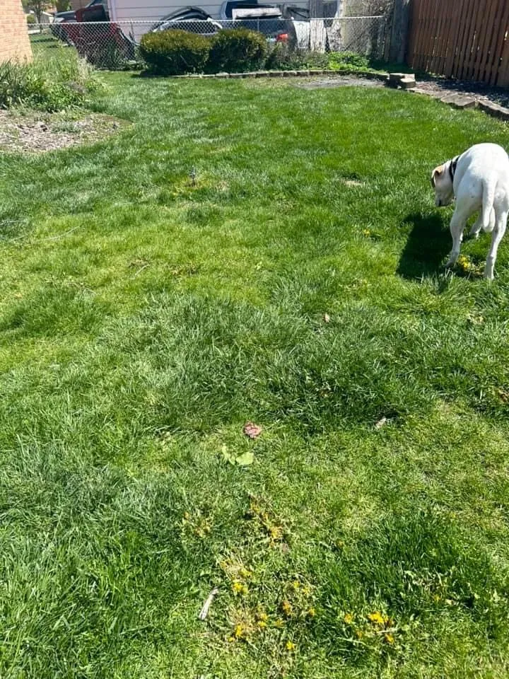 Top-rated landscaping services with custom design across Oak Lawn, IL - JRBR Enterprises