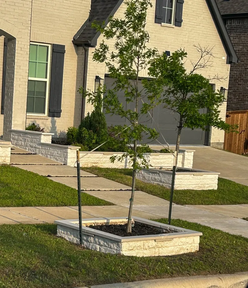 Professional lawn care service for outdoor upgrades in Dallas, TX by Jrc Construction