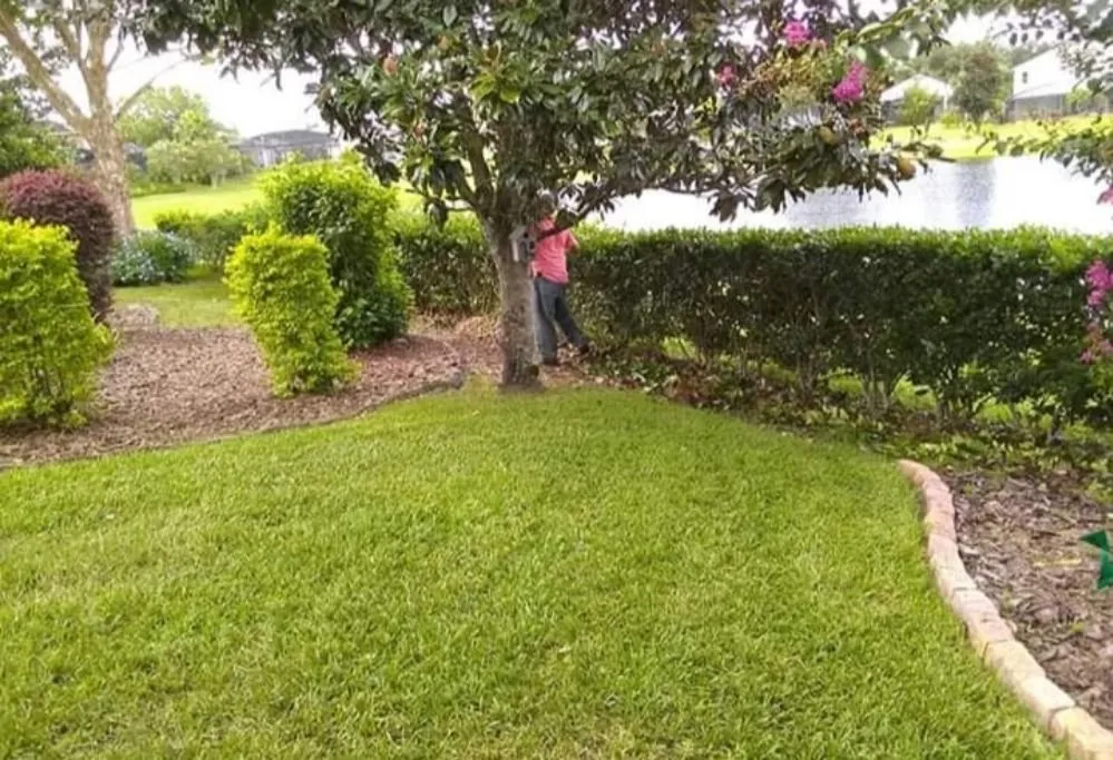 Custom yard cleanup service experts serving Belle Isle, FL - JRC Landscaping