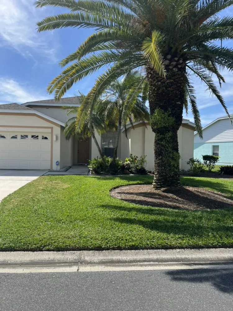 Top-rated yard cleanup service for year-round maintenance in Bradenton, FL by Jrc Lawn Service