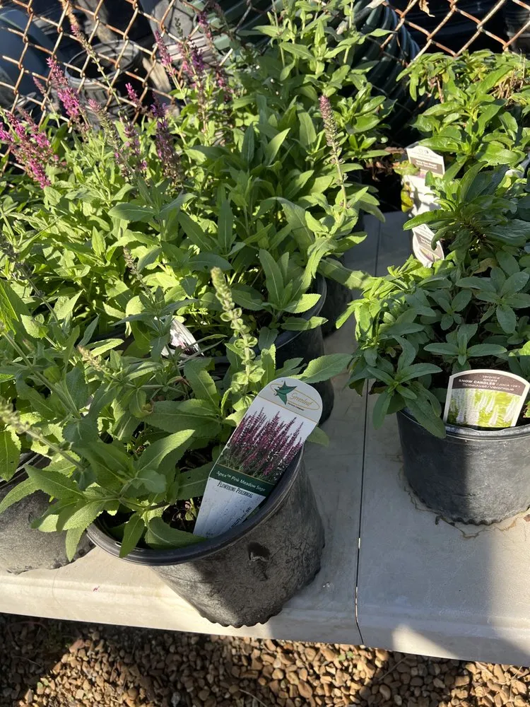 Trusted landscape installation in Gallatin, TN by JRC Lawn Service