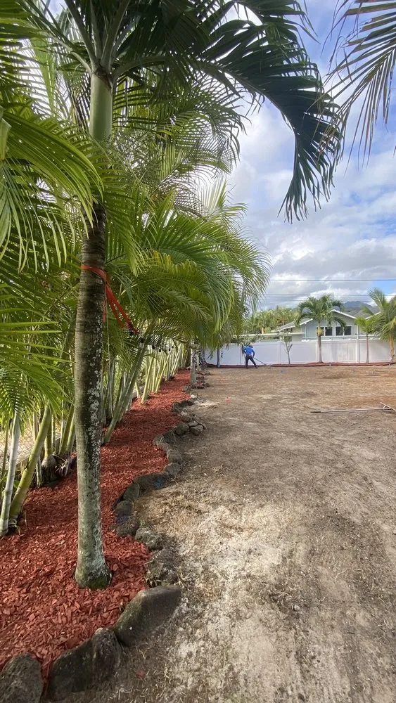 Local yard cleanup service in Kapolei, HI by JRC yard/landscaping services