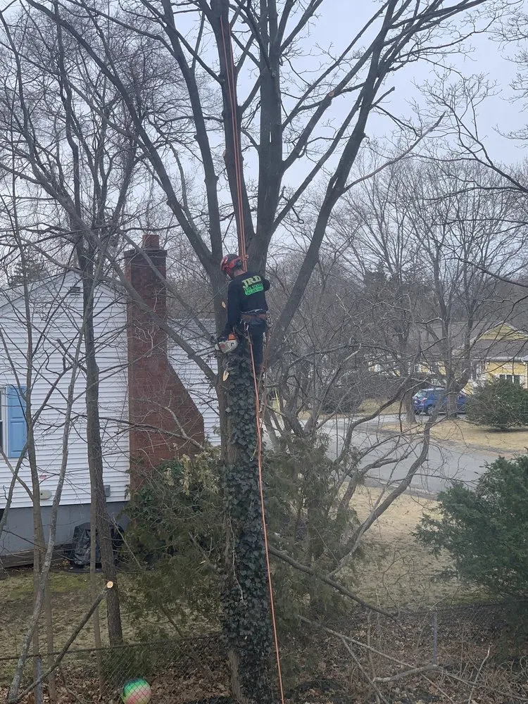 Expert lawn care service experts serving Rockland, MA - JRD Contracting Services