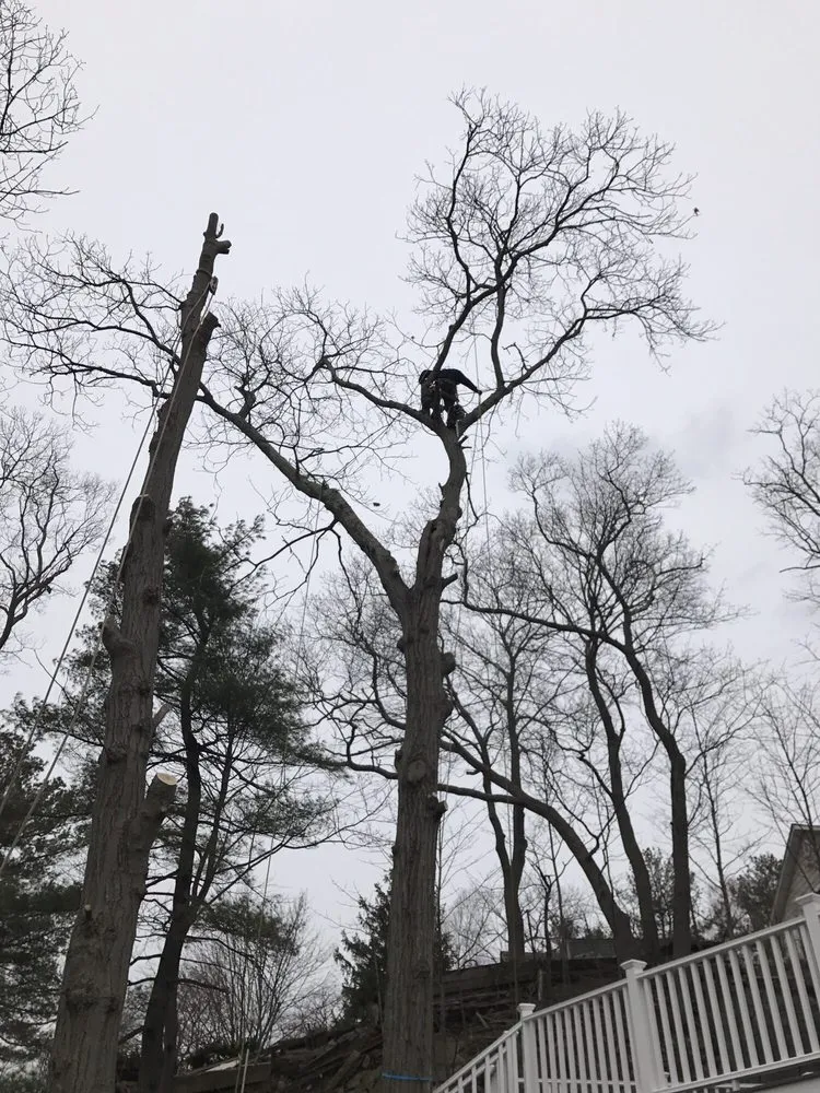 Reliable landscaping services experts serving Rockland, MA - JRD Contracting Services