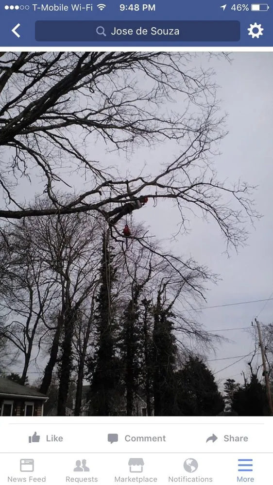 Top-rated outdoor landscaping in Rockland, MA by JRD Contracting Services