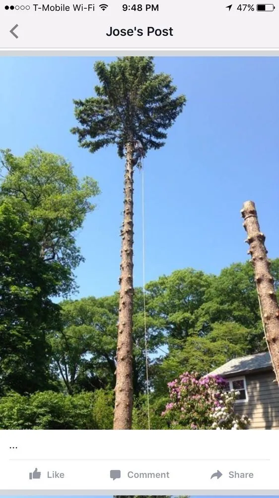 Affordable landscaping services near you across Rockland, MA - JRD Contracting Services