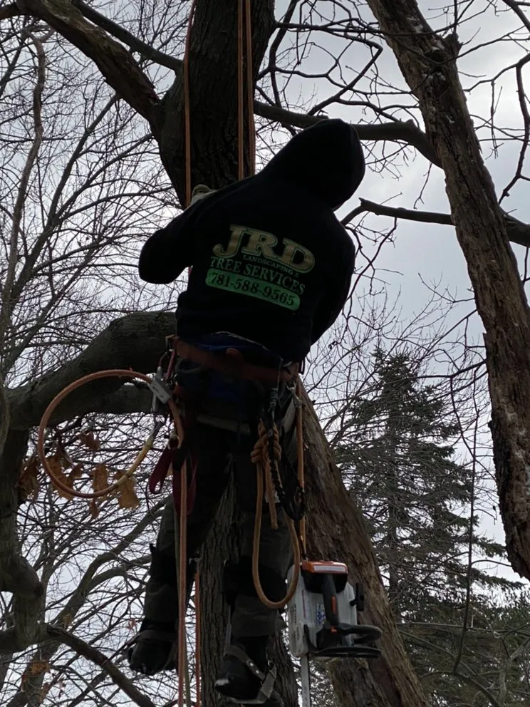 Reliable landscape design in Rockland, MA by JRD Contracting Services