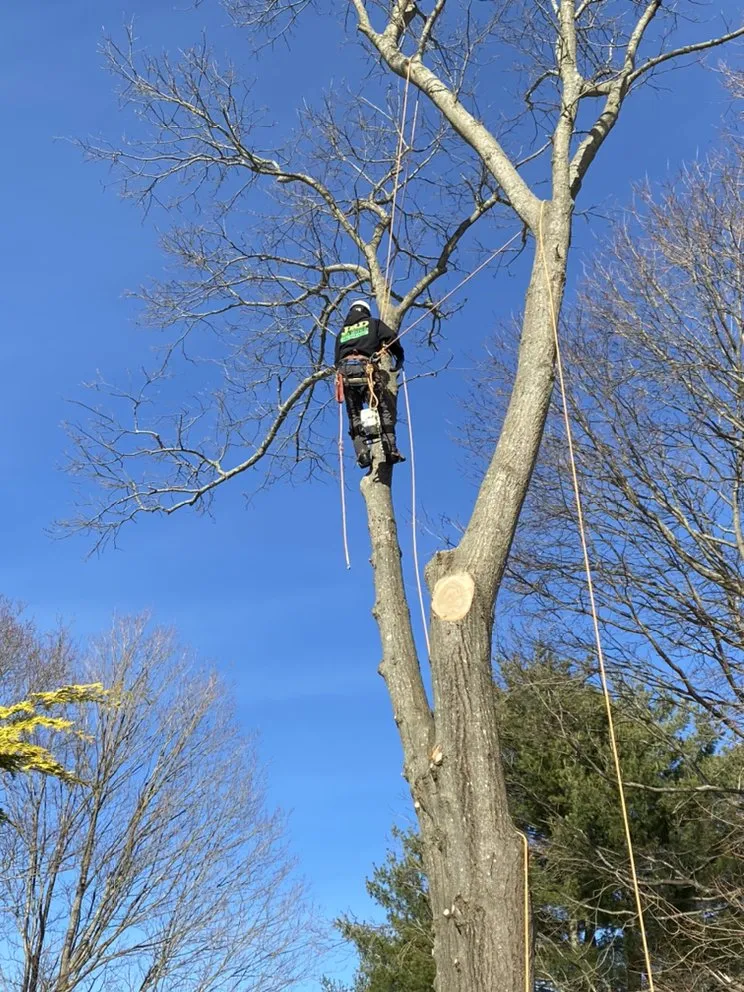 Top-rated residential landscaping near you in Rockland, MA by JRD Contracting Services