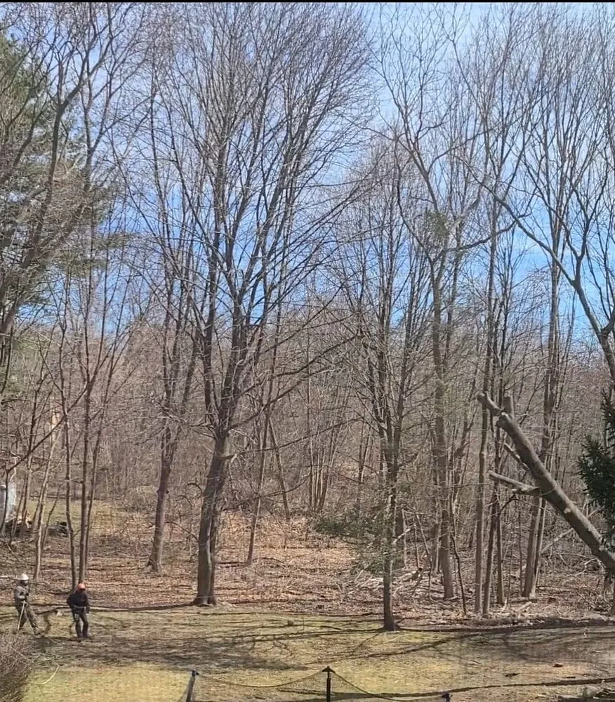 Affordable landscape design with custom design across Rockland, MA - JRD Contracting Services