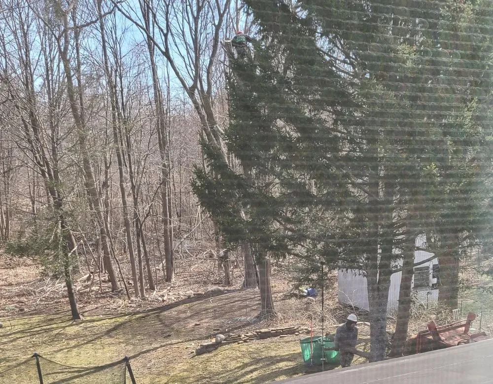 Reliable landscape design for year-round maintenance in Rockland, MA by JRD Contracting Services