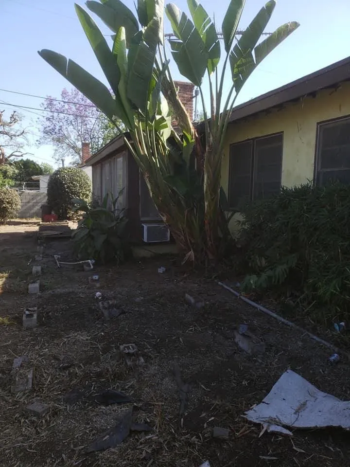 Reliable landscaping services in Arcadia, CA - JRD Landscaping and beyond