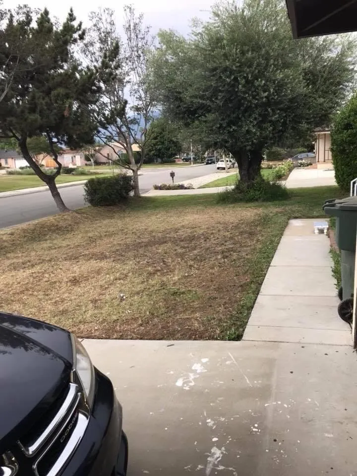 Trusted lawn mowing service for residential properties in Arcadia, CA by JRD Landscaping and beyond