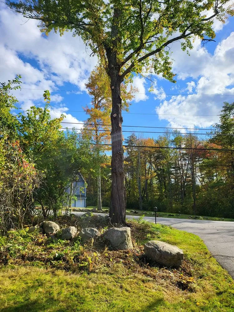Affordable yard maintenance in Derry, NH - JRG Exterior Home And Yard