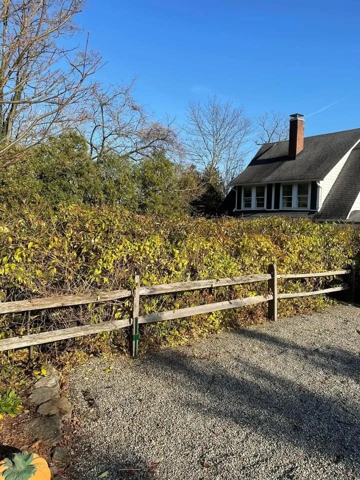 Local landscape design in Sussex, NJ by JRG Landscaping