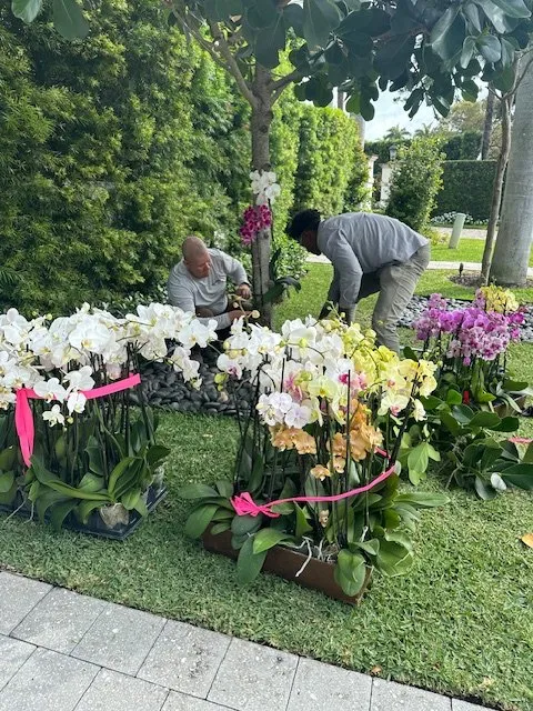 Expert garden landscaping for year-round maintenance in Miami, FL by JRG Lawn Care