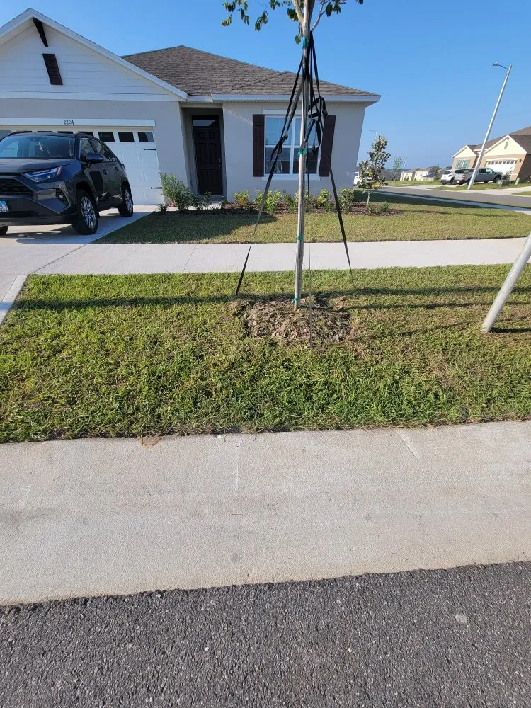 Expert landscaping services for outdoor upgrades across Winter Haven, FL - JRI Lawn & Landscape